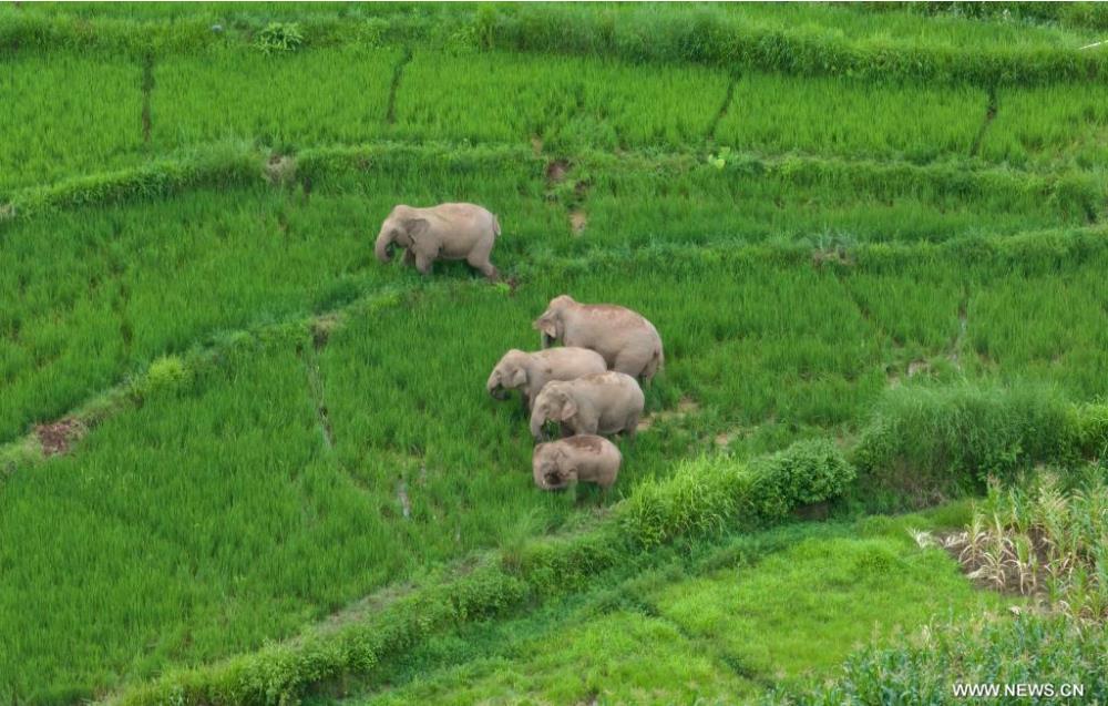 ??????? ???????? ?????? ?? ?????? ????? ??????