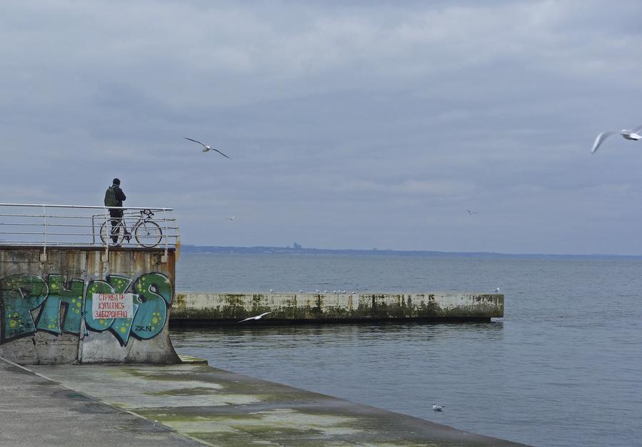 ????? ??????: ????? ???? ????? ???????? ???? ????? ????? ?????? ?? ??????