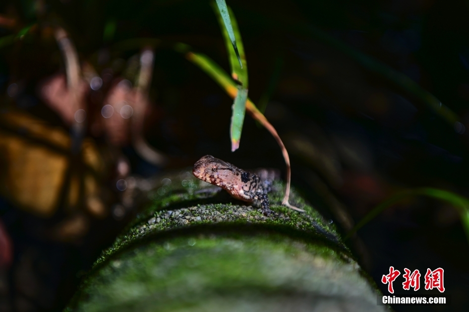 ?? ??? ???? ???????: ?????? ??? 12 ????? ??????? ???? ????? ???????