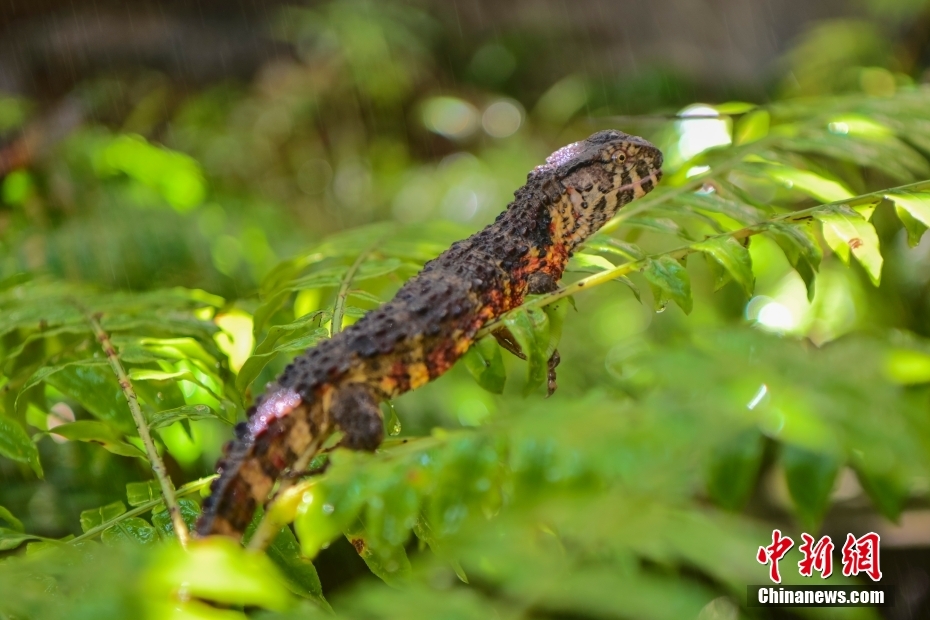 ?? ??? ???? ???????: ?????? ??? 12 ????? ??????? ???? ????? ???????