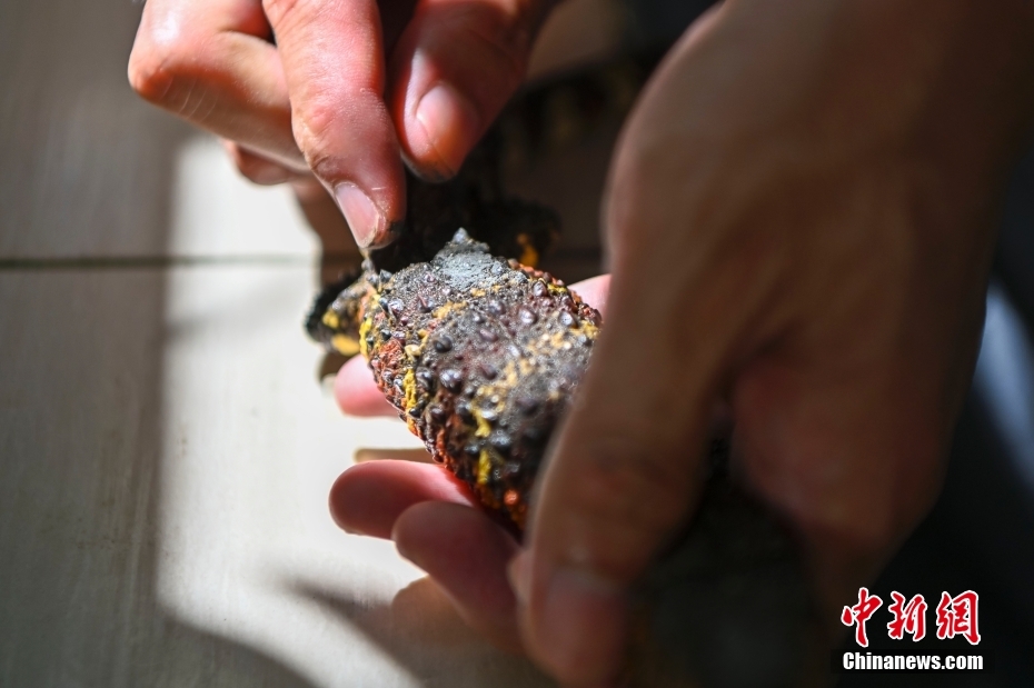 ?? ??? ???? ???????: ?????? ??? 12 ????? ??????? ???? ????? ???????