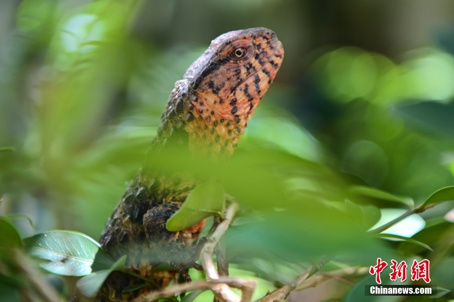 ?? ??? ???? ???????: ?????? ??? 12 ????? ??????? ???? ????? ???????