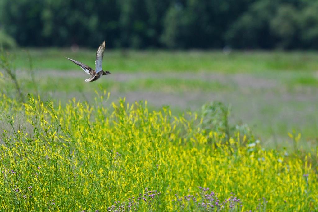 ??????: ???? ?????? ??????????? ?? ???? ???? ??????