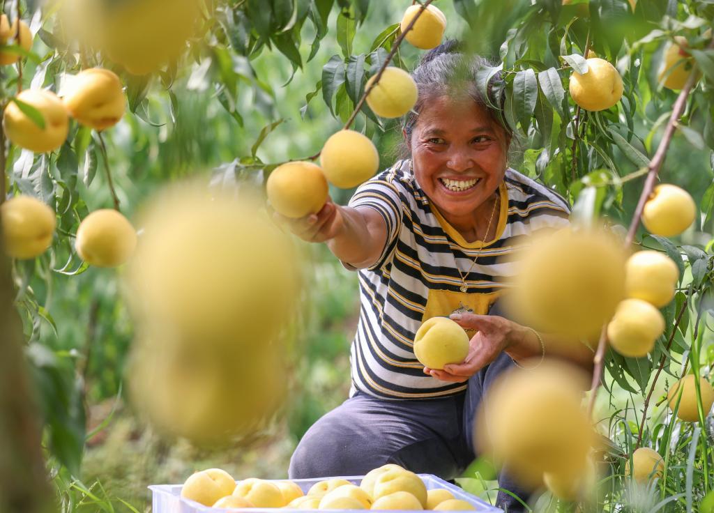 ??????: ???? ????? ?????? ??????? ?????? ?? ???? ???? ?????