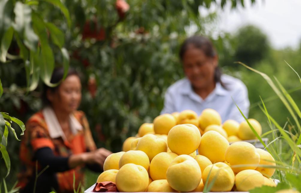 ??????: ???? ????? ?????? ??????? ?????? ?? ???? ???? ?????