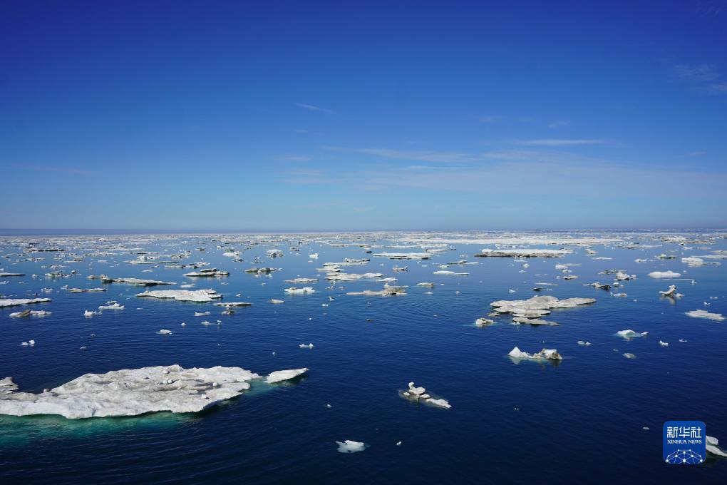 ???? ???? ????? ????? ????? ????? ??? ????? ???????