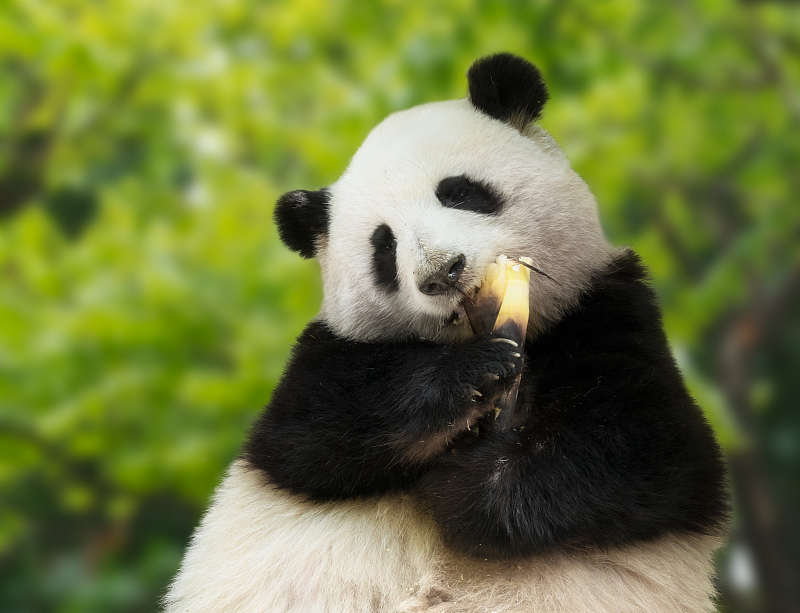 ??????? ??? ?? ????????? ????? ????? ???? ??? ??????? ?? ???? ?????