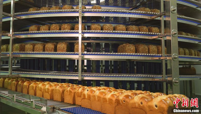 ????? ???? ????? ???? ???? ????? ?????