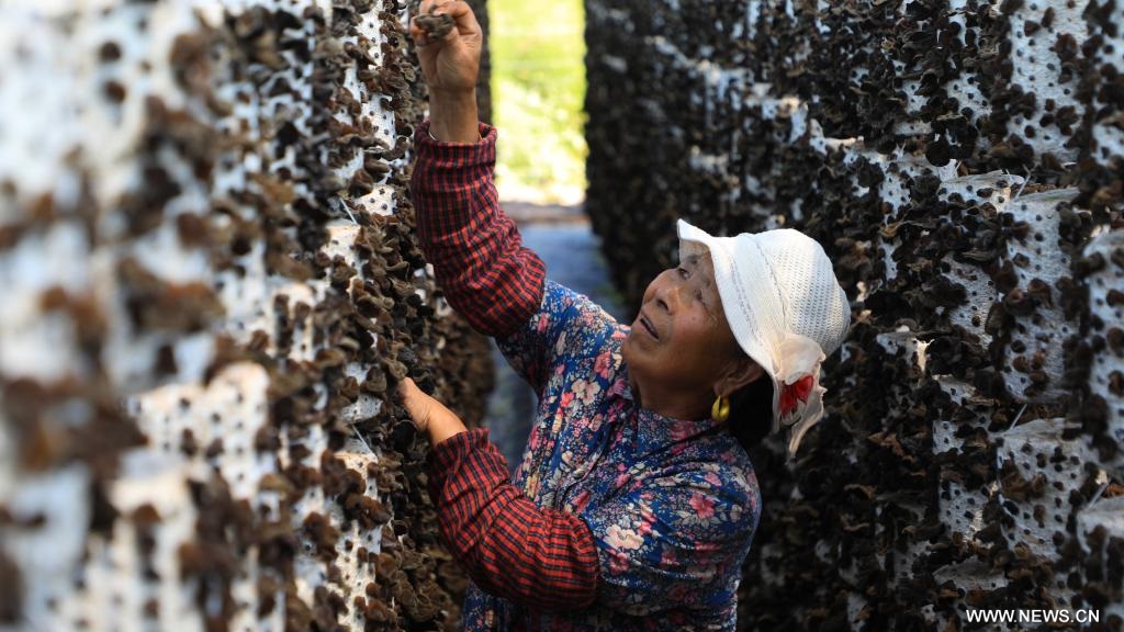 ??? ??? ????? ???? ?????? ?????? ?? ???? ???? ?????