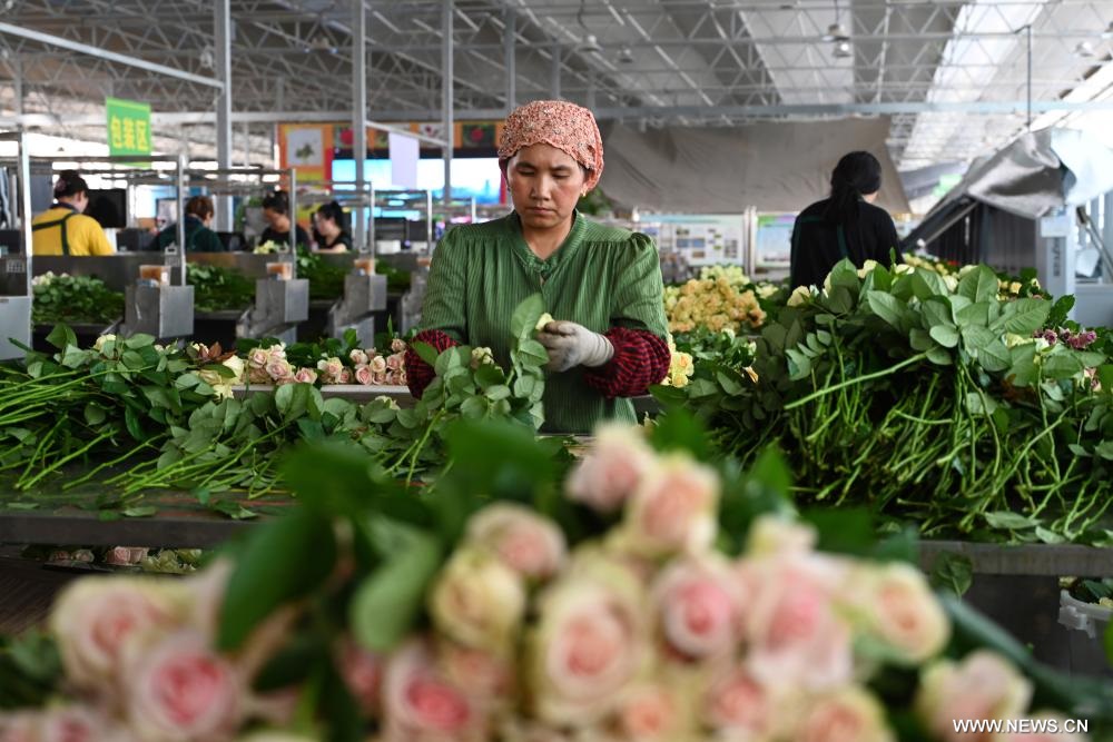 ????? ??????? ?????? ????? ?? ?????? ??????