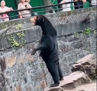 ????? ??????? ????? ??? ?? ????? ??????? ????? ??????