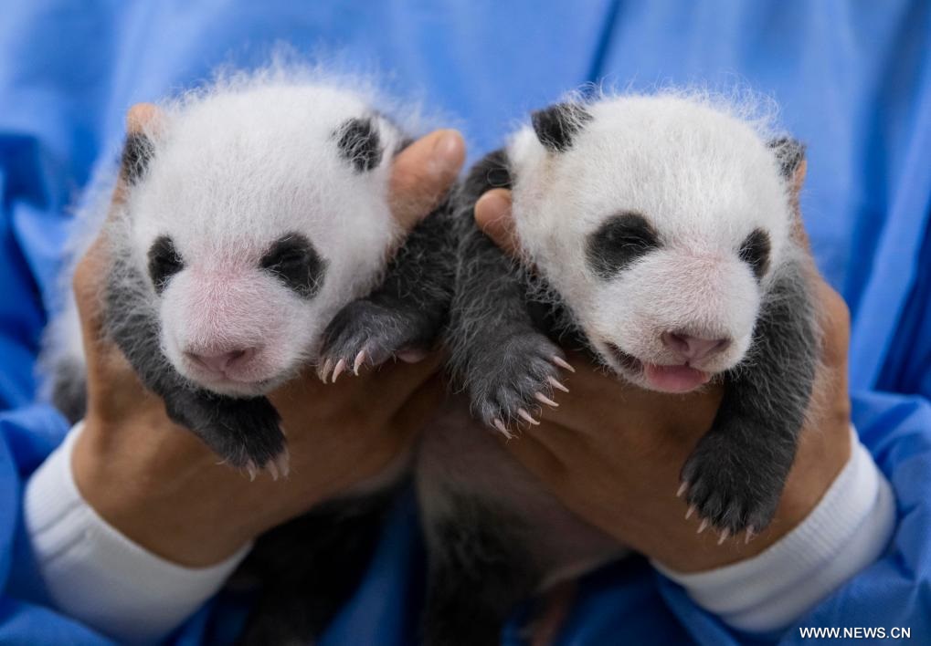 ????? ?? ???? ??????? ???????? ?? ????? ???????? ?????? ????????