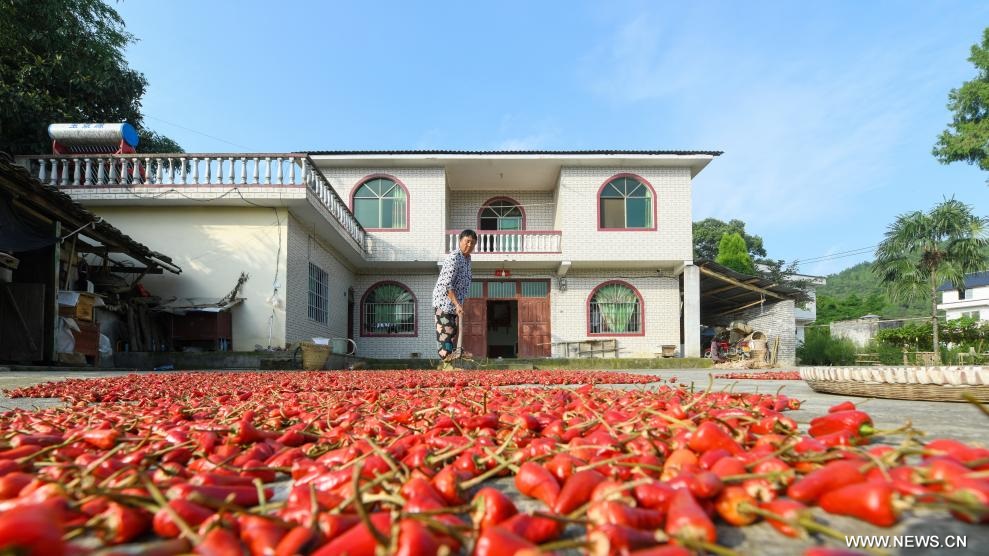 ???? ??????? ?????? ?? ???? ???? ?????