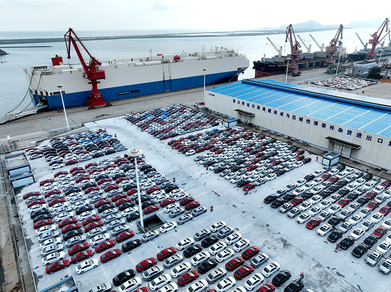 ?????? ????? ?? ???????? ????? ????? 63% ?? ?????