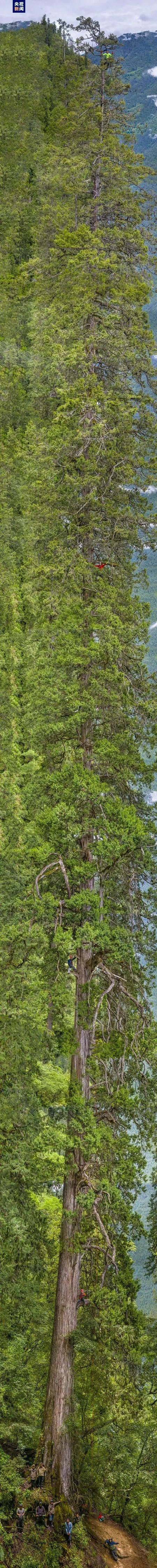 ???? ????? ????? ???? ?????? ??????? ???????? ???? ?????? ?? ????? ?????