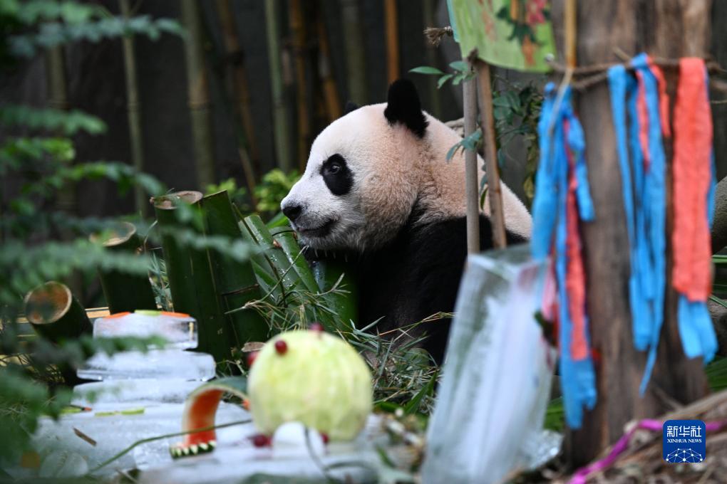 ???????? ???? ????? ??????? ????????