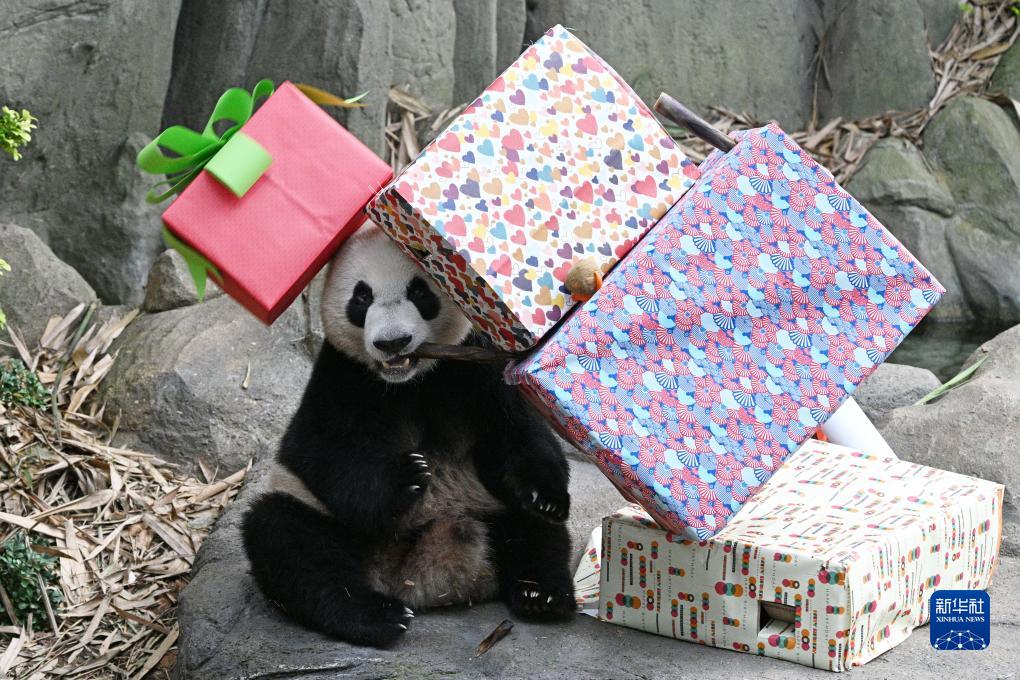 ???????? ???? ????? ??????? ????????