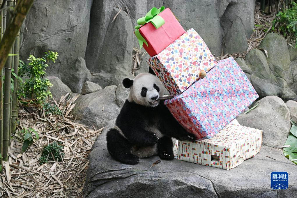 ???????? ???? ????? ??????? ????????