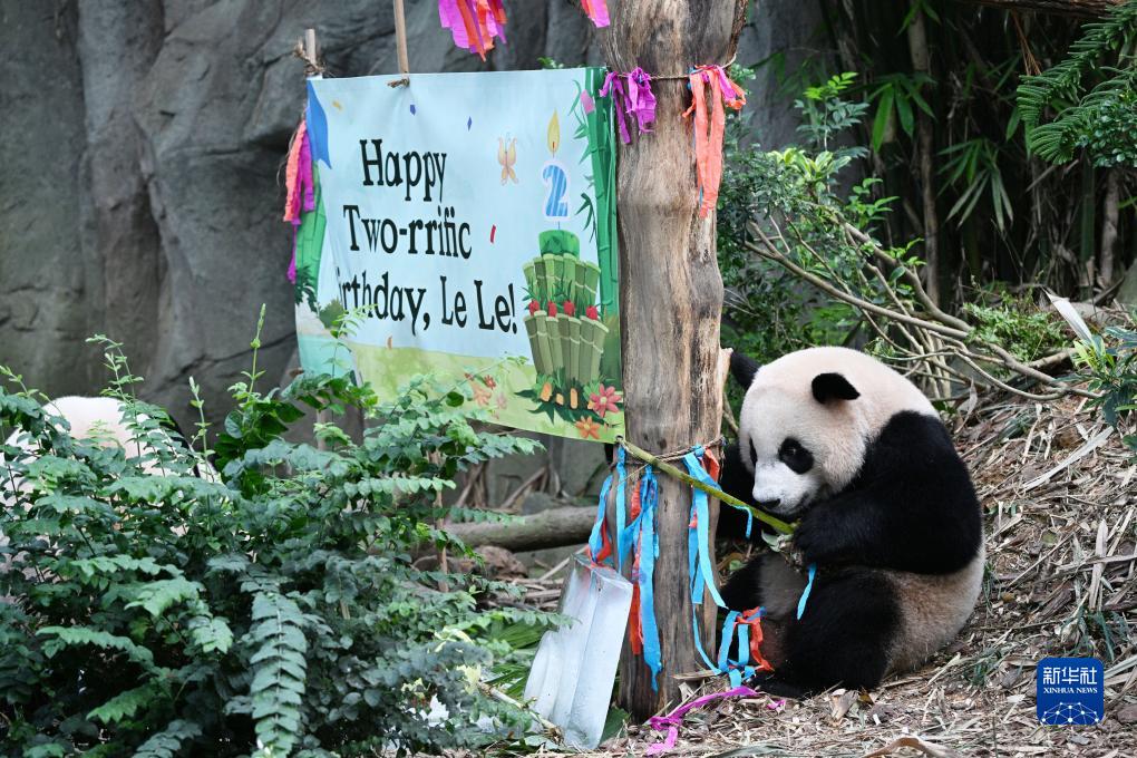 ???????? ???? ????? ??????? ????????