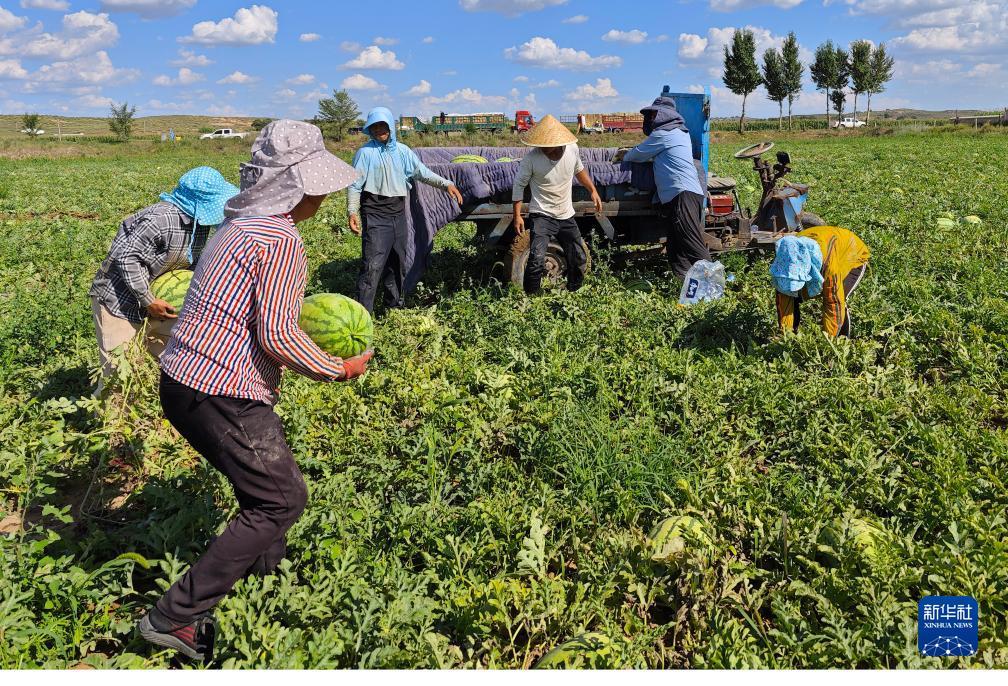 ??????? ??????? ???? ???? ?????? ?? ????? ??????? ????????