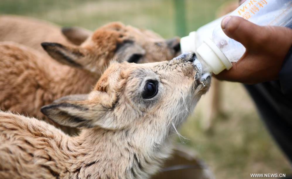 ????? ?????? ??????? ?? ?????? ???????? ???? ???? ?????