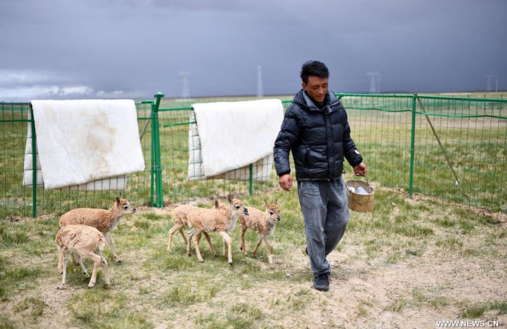 ????? ?????? ??????? ?? ?????? ???????? ???? ???? ?????