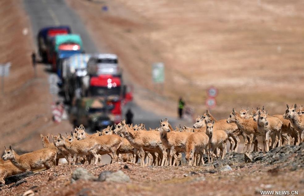 ????? ?????? ??????? ?? ?????? ???????? ???? ???? ?????