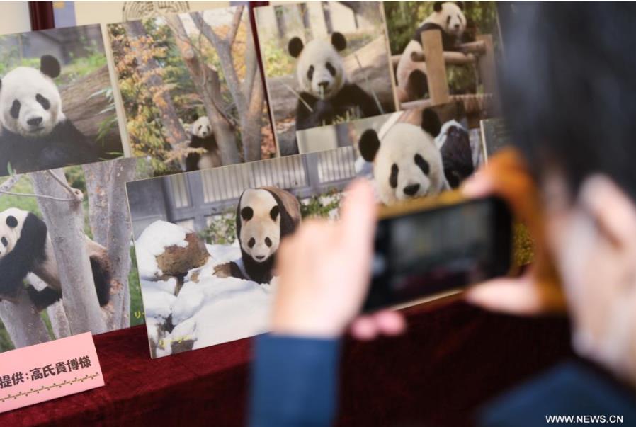 ???????? ???? ????? ??????? ????????