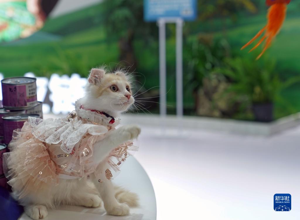 ???? ????? ????????? ??????? ?????? ?? ???????