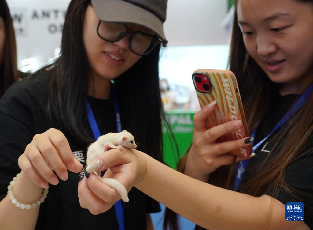 ???? ????? ????????? ??????? ?????? ?? ???????