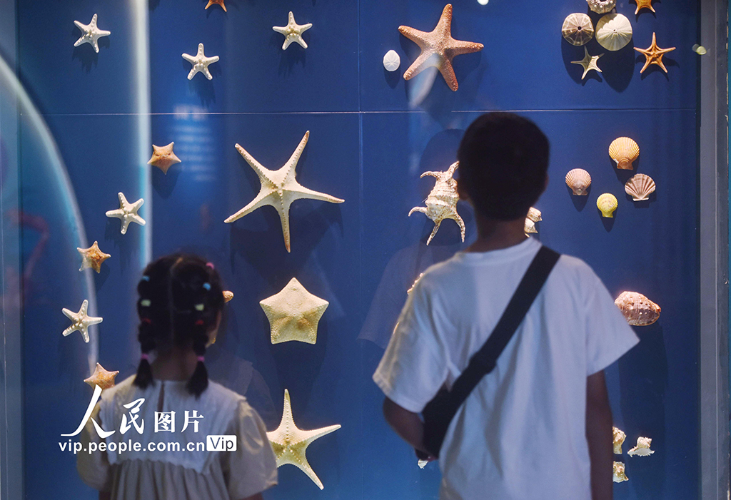 ???? ?????? ??? ????? ????? ???? ?????? ?? ??????? ?? ???????