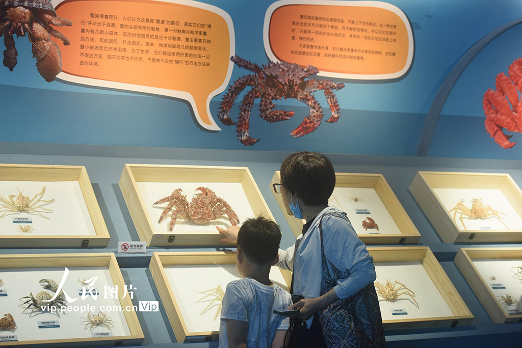 ???? ?????? ??? ????? ????? ???? ?????? ?? ??????? ?? ???????