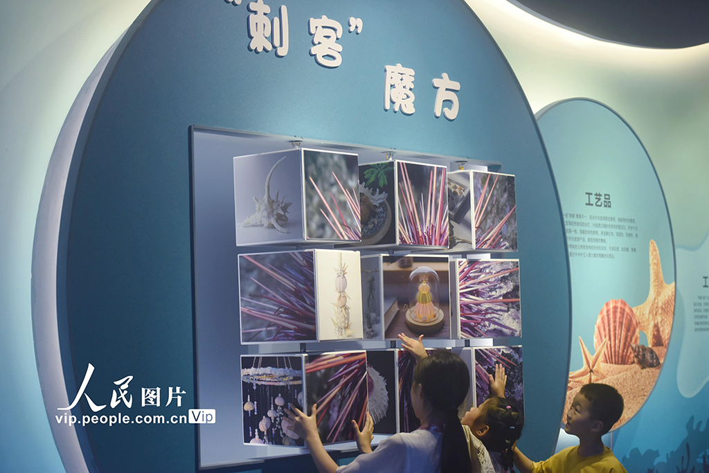 ???? ?????? ??? ????? ????? ???? ?????? ?? ??????? ?? ???????