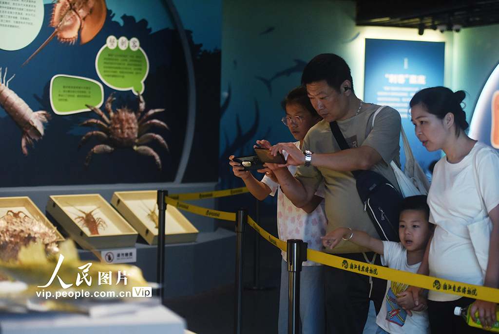 ???? ?????? ??? ????? ????? ???? ?????? ?? ??????? ?? ???????