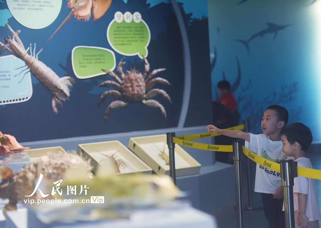 ???? ?????? ??? ????? ????? ???? ?????? ?? ??????? ?? ???????