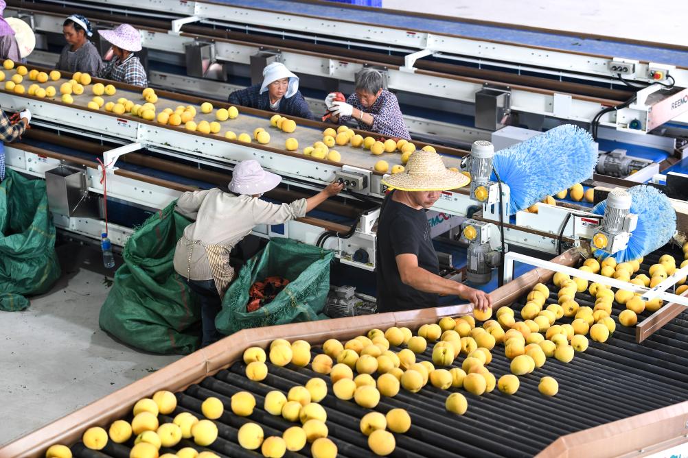 ??????: ????? ???? ???? ????? ?????? ?? ???? ???? ?????