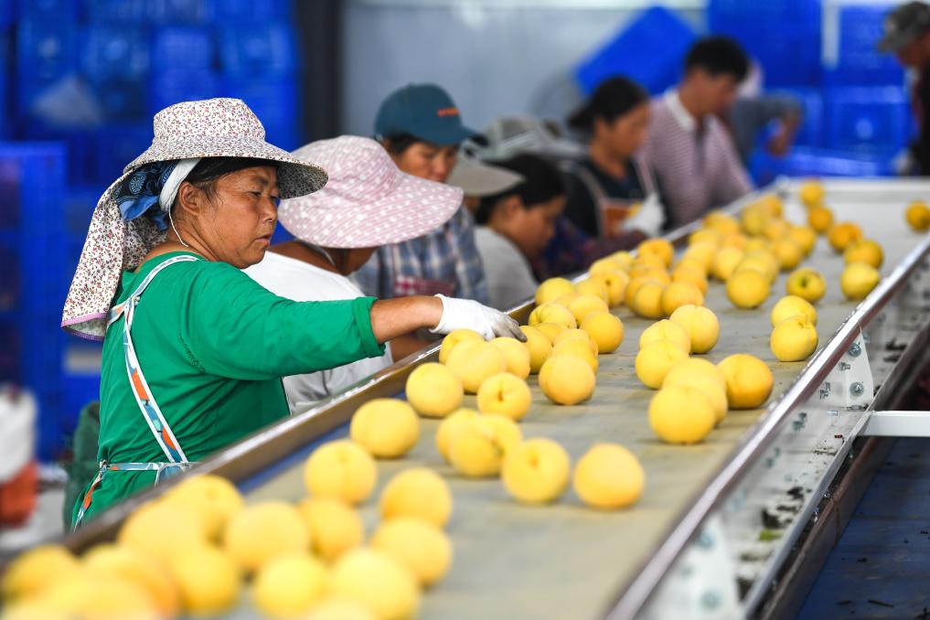 ??????: ????? ???? ???? ????? ?????? ?? ???? ???? ?????