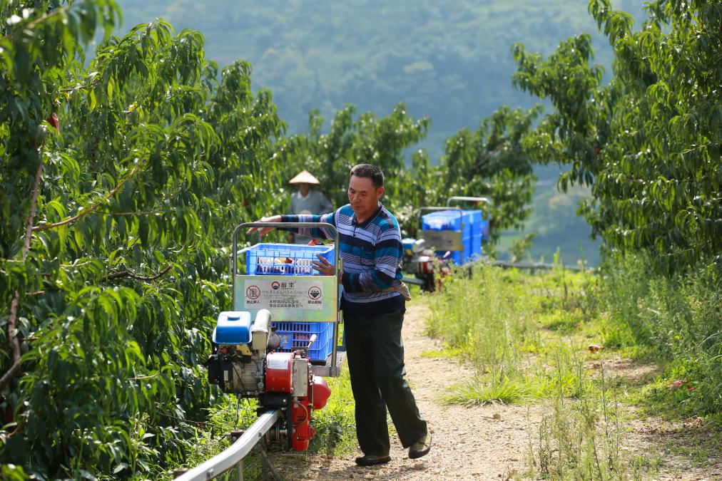 ??????: ????? ???? ???? ????? ?????? ?? ???? ???? ?????