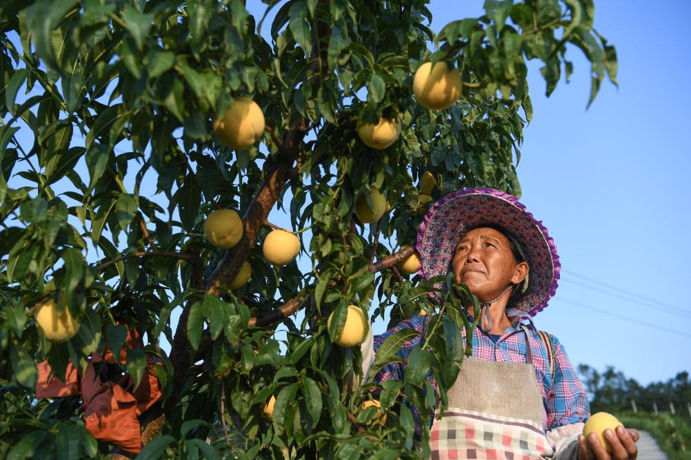 ??????: ????? ???? ???? ????? ?????? ?? ???? ???? ?????