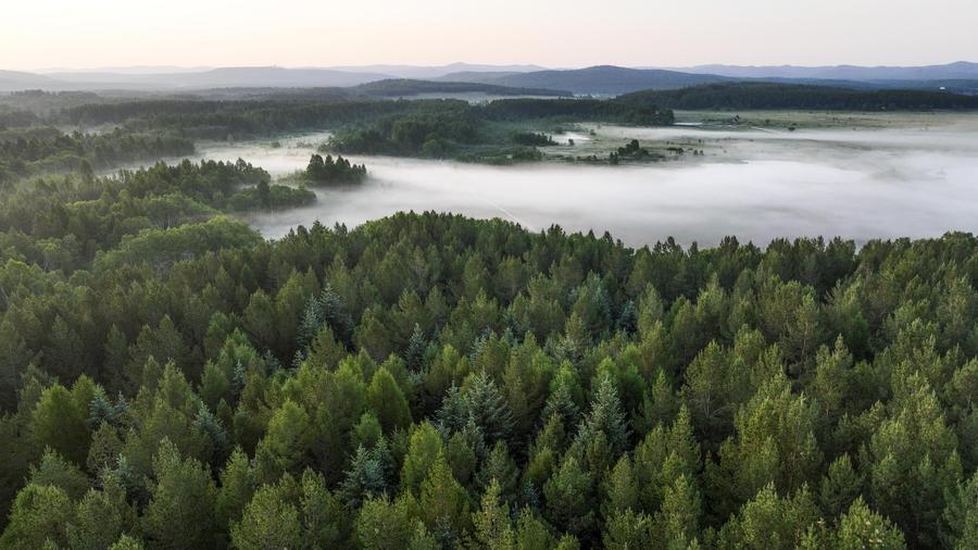 ?????? ????? ???? ?????? ???? ?????? ??????? ?? ????? ?? ??? 2022