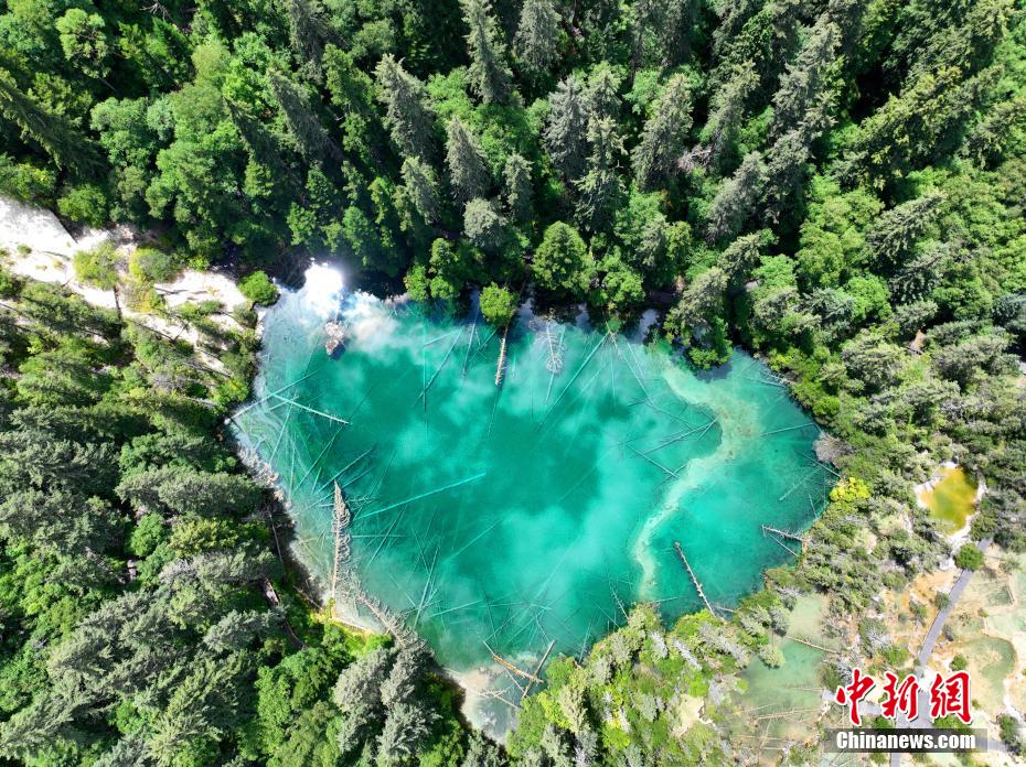 ????? ?????? ????? ?? ???? ????????? ???????? .. ????? ????? ????? ?????? ??????