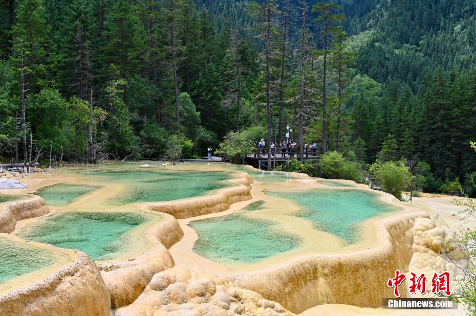 ????? ?????? ????? ?? ???? ????????? ???????? .. ????? ????? ????? ?????? ??????