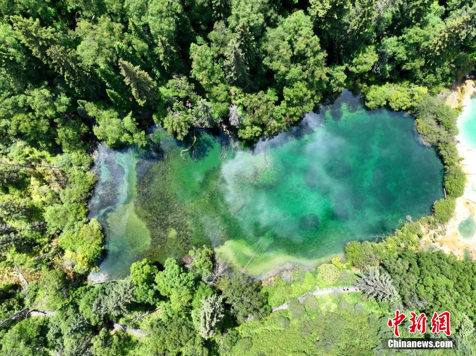 ????? ?????? ????? ?? ???? ????????? ???????? .. ????? ????? ????? ?????? ??????