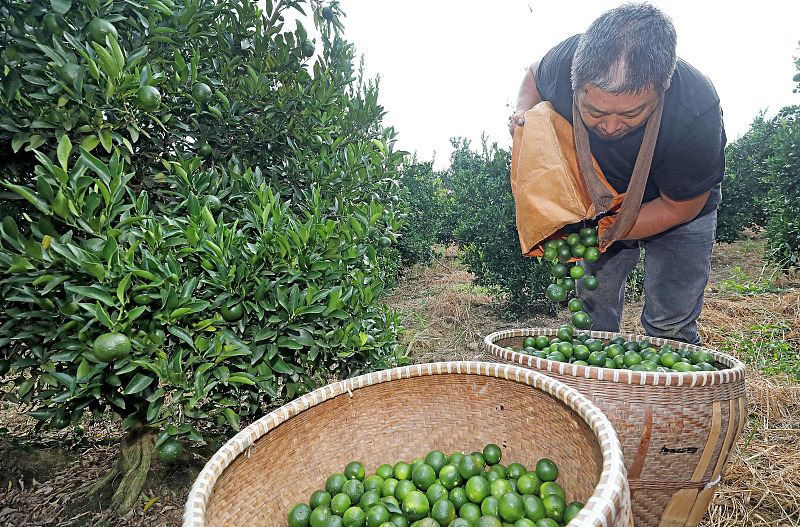 ???? ????? ???? ????? ???? ?? ?? ??? ????? ????