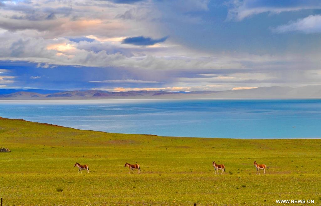 ????? ????? ????? ???????