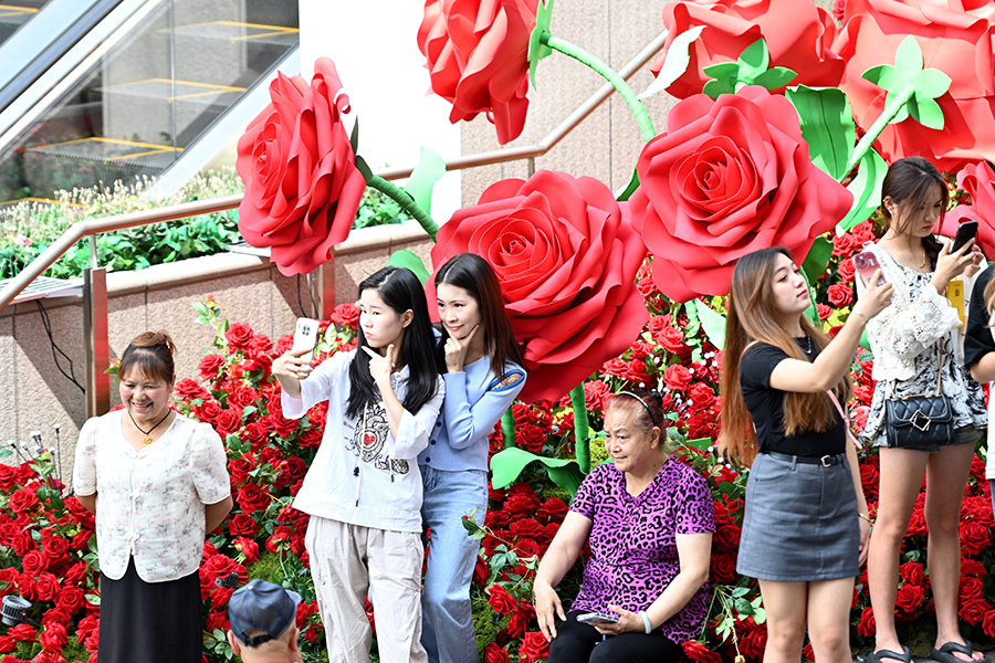 ???????? ???? ???? ?????? .. ????? ??????? ????? ?????? ?? ?????? ??????? ???????