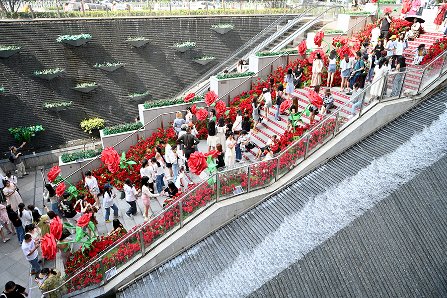 ???????? ???? ???? ?????? .. ????? ??????? ????? ?????? ?? ?????? ??????? ???????