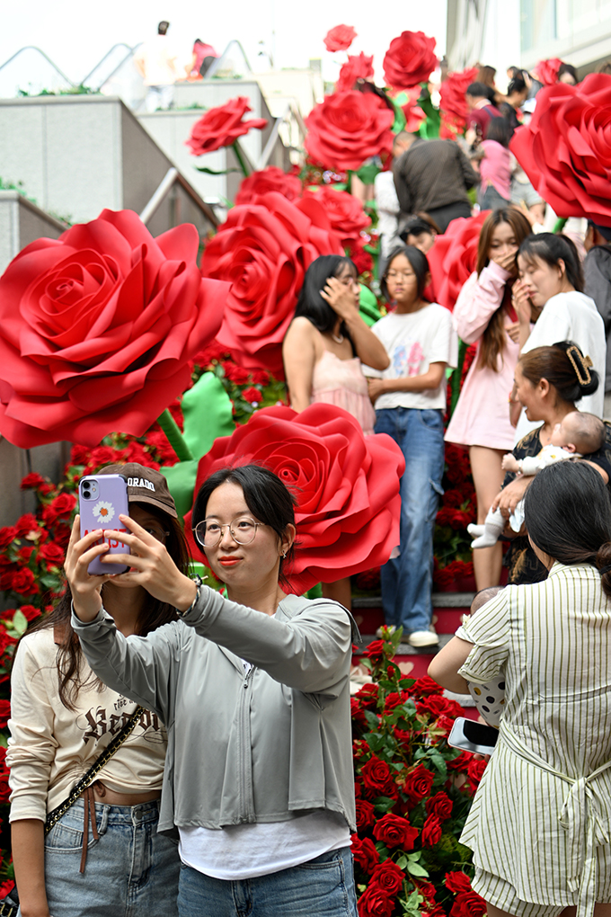 ???????? ???? ???? ?????? .. ????? ??????? ????? ?????? ?? ?????? ??????? ???????