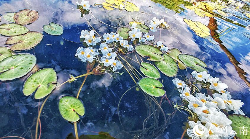 ???? ???? ???? ?????? ?? ???? ????????