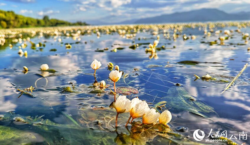 ???? ???? ???? ?????? ?? ???? ????????